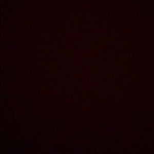 Meet your Posher, Daylon